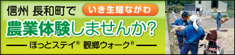 信州長和町で農業体験しませんか?いき生耀ながわ