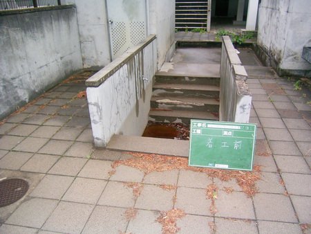 p8.JPG